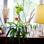 מלון Saint Charles & Coliving ביאריץ
