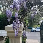 Saint Charles & Coliving 比亚里茨