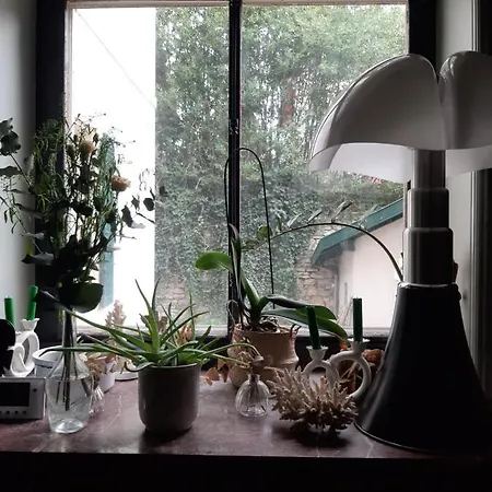 Saint Charles & Coliving מלון ביאריץ