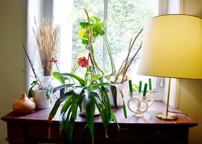 Hotel Saint Charles Hotel & Coliving Biarritz Biarritz